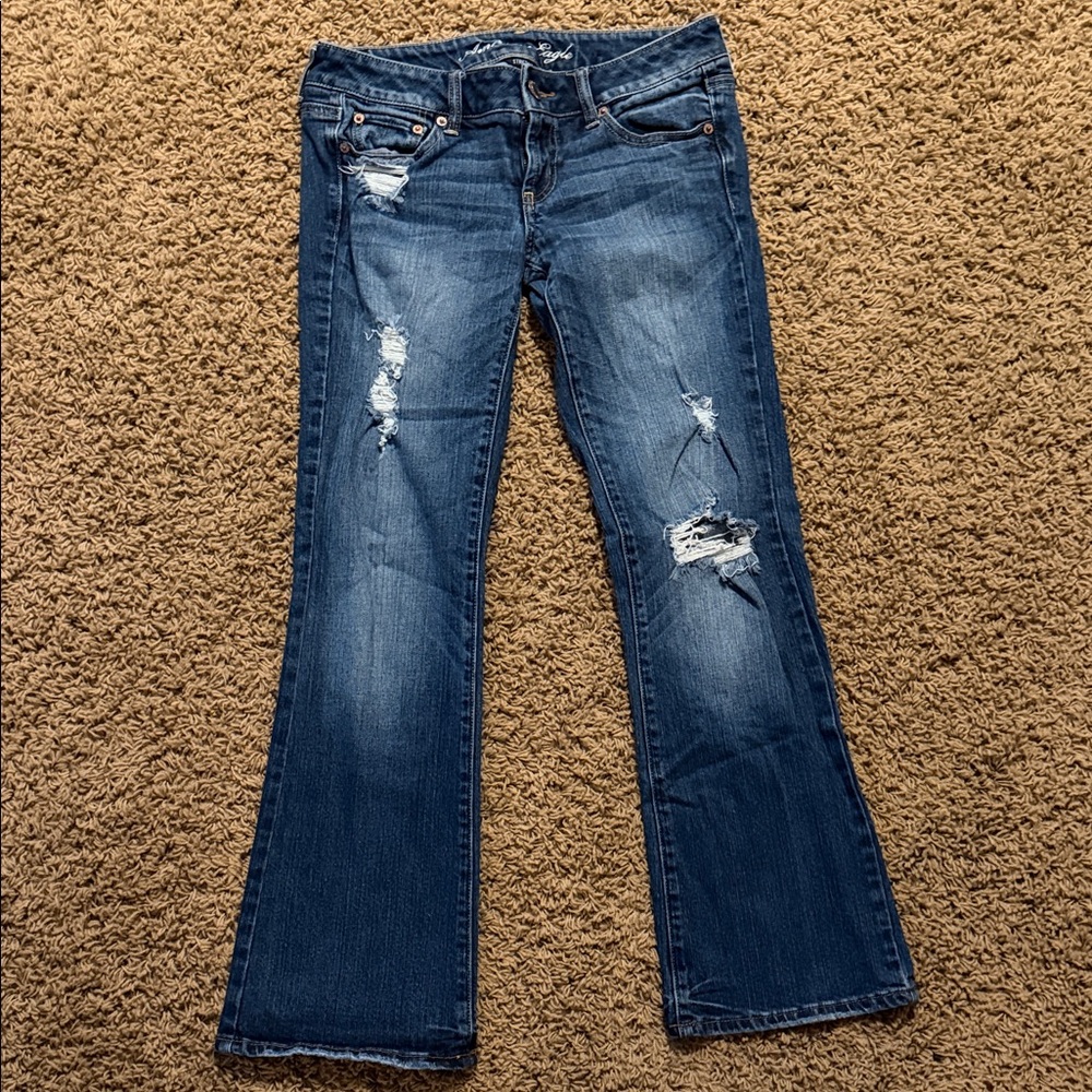 American Eagle Dark Blue Distressed Women's Petite Jeans
